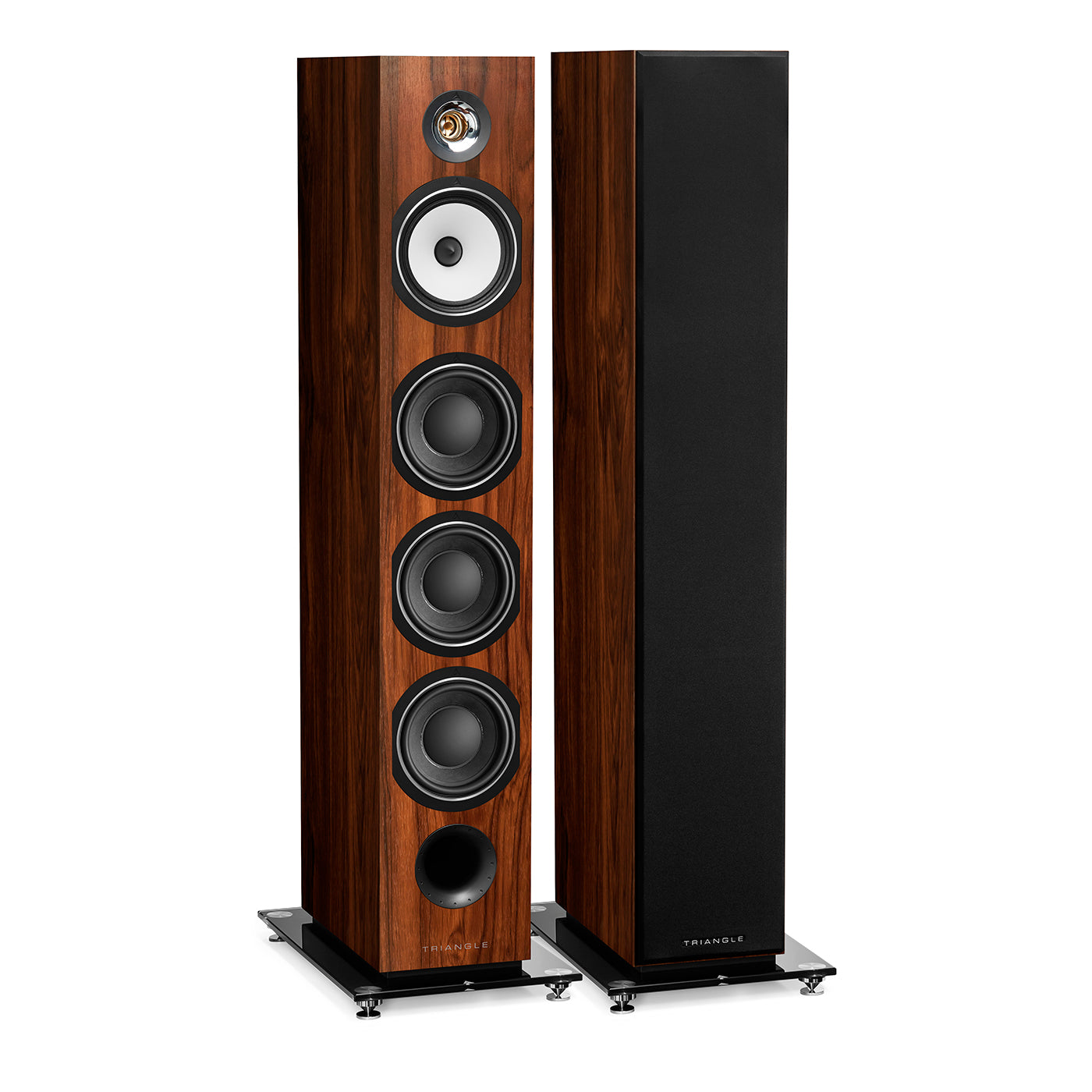 Esprit Ez - Australe Ez