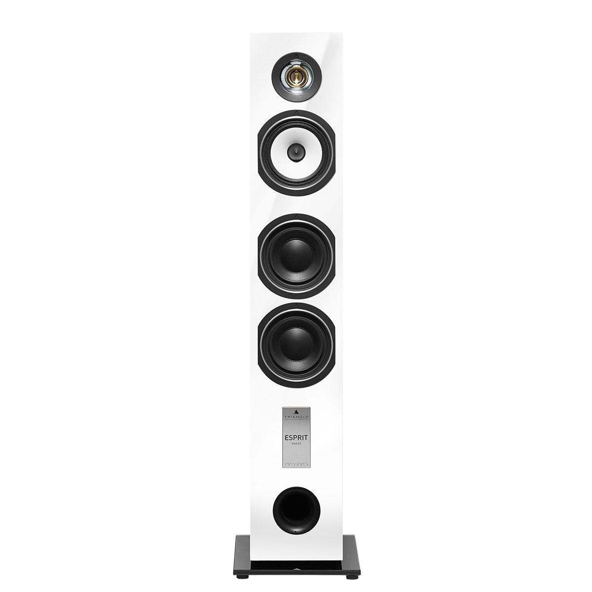 Altavoz de suelo Hi-Fi - Esprit Ez Gaïa (par)