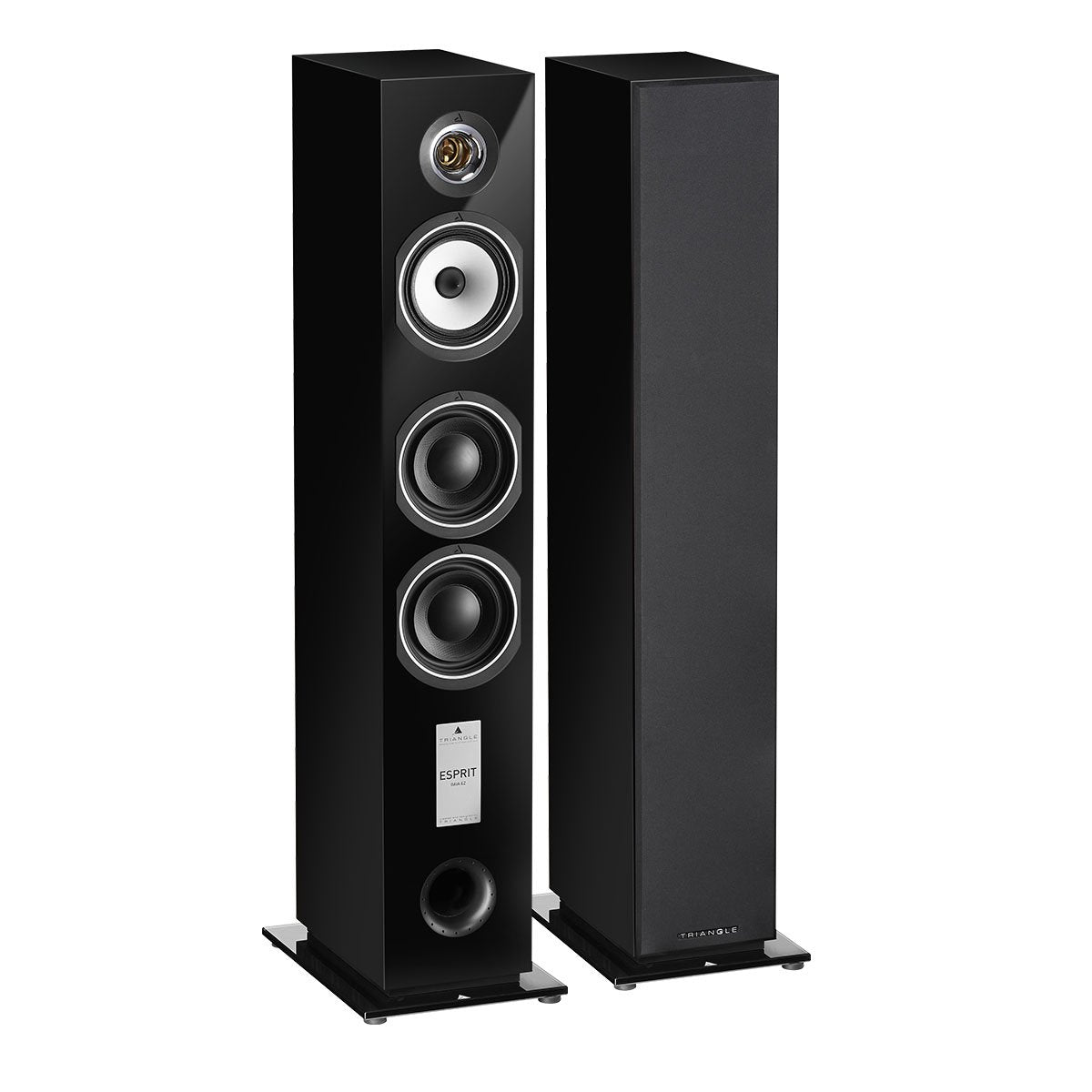 Altavoz de suelo Hi-Fi - Esprit Ez Gaïa (par)