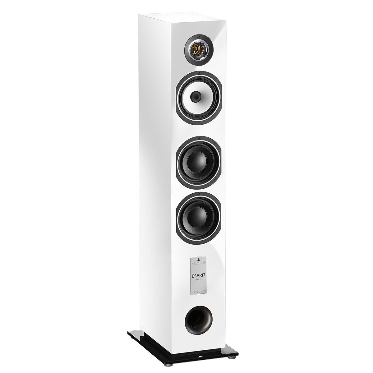 Altavoz de suelo Hi-Fi - Esprit Ez Gaïa (par)