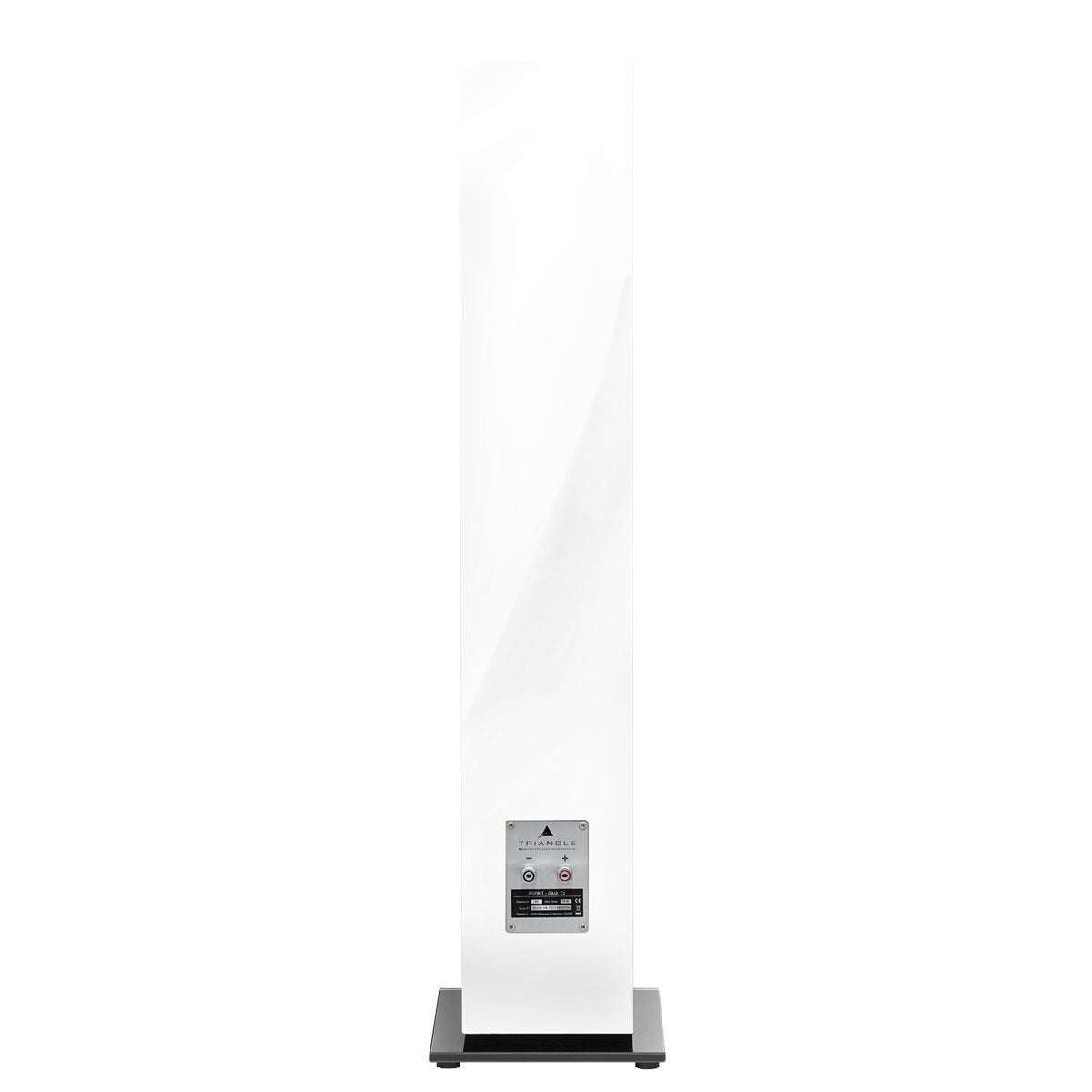 Altavoz de suelo Hi-Fi - Esprit Ez Gaïa (par)